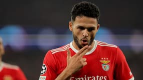 Gonçalo Ramos célèbre un but contre Bruges en mars 2023