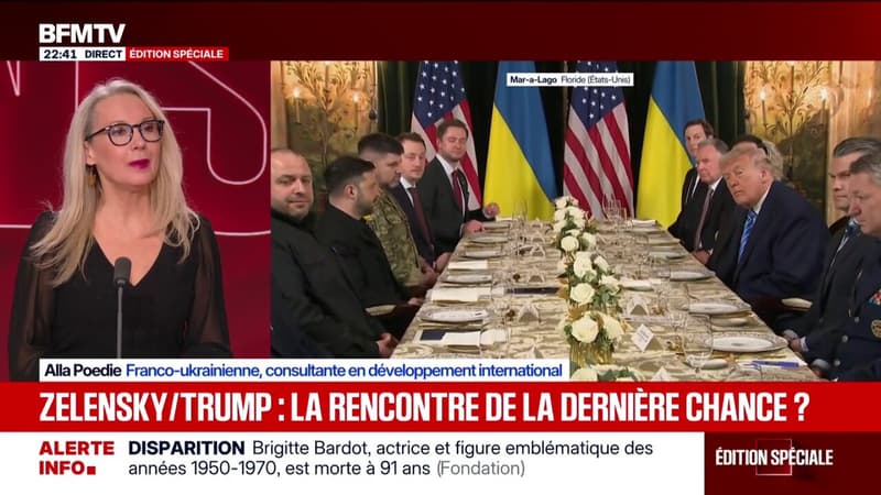 Plan de paix pour l'Ukraine: "Tout le monde joue malheureusement la partition de Poutine", déplore Alla Poedie, franco-ukrainienne