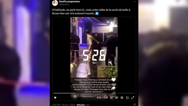 Un videur de la boîte de nuit a été filmé en train de jeter un parpaing sur un chien, à Rouen.