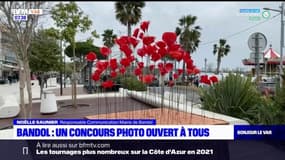 Var: un concours photo ouvert à tous à Bandol 