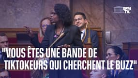 "Une bande de tiktokeurs qui cherchent le buzz": la charge d'une députée de la majorité contre les insoumis