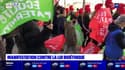 Lyon: entre 1200 et 3000 personnes manifestent contre le projet de loi bioéthique