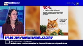 Fêtes de Noël: la SPA en campagne contre "l'animal cadeau"