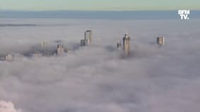 Sydney disparaît... Les images de la ville australienne plongée dans un épais brouillard