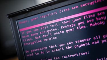 Le logiciel malveillant surnommé "Wannacry" avait paralysé le service de santé britannique et des usines du constructeur automobile Renault.