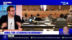 TER en Auvergne Rhône-Alpes: l'augmentation des prix votée à la prochaine commission permanente