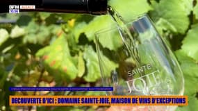 Découverte d'ici : Domaine Sainte-Joie, maison de vins d'exceptions