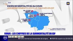 Coronavirus: l'Île-de-France enregistre un excès de mortalité de 63,7 % entre le 2 mars et le 31 mai