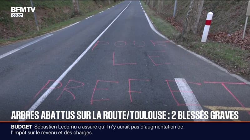 Haute-Garonne: deux blessés graves après avoir percuté des arbres volontairement abattus, une enquête ouverte pour  "violences volontaires aggravées"