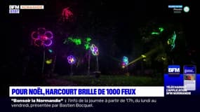 Le domaine d'Harcourt s'illumine de toutes parts à l'occasion de Noël