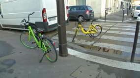 Par terre, dans les bacs à fleurs… Pourquoi les vélos en libre-service se font envahissants à Paris
