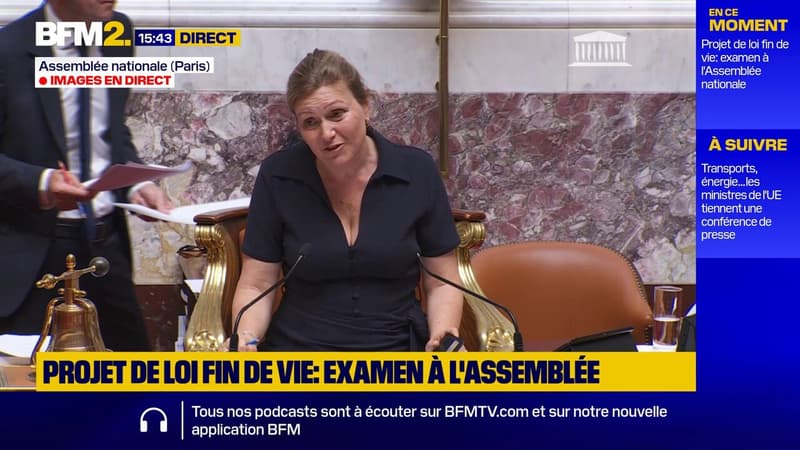 "Il risque de faire un peu chaud dans les minutes ou heures qui viennent": la climatisation en panne à l'Assemblée