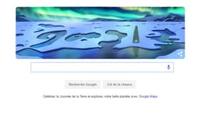 Capture du doodle Google sur la journée de la Terre