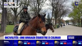 Une brigade équestre à Colmar pour lutter contre les incivilités