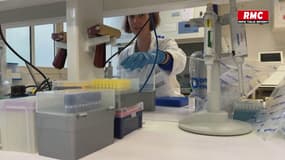 JO 2024 : L'institut Pasteur se prépare 