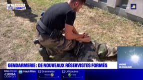 Strasbourg: de nouveaux gendarmes réservistes formés