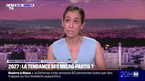 LE CHOIX D'ANNE-CHARLÈNE - 2027: la tendance des micros-partis ?