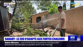 Sanary-sur-Mer: le zoo s'adapte aux fortes chaleurs