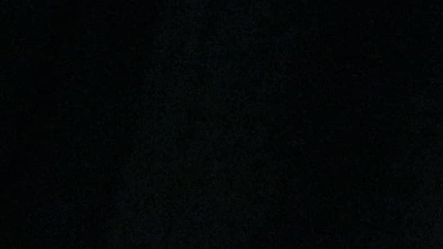 Nicolas Sarkozy et Alain Juppé sont au coude à coude dans les intentions de vote à la primaire de droite. 