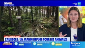L'histoire du jour avec @ValentineBrvt : à Caussols, un jardin-refuge pour les animaux