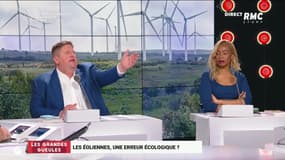 Les éoliennes, une erreur écologique ? - 02/06