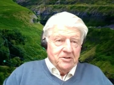 Stanley Johnson, invité de BFMTV, le 20 mai 2022