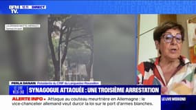 "On a frôlé la catastrophe": Perla Danan, présidente du CRIF du Languedoc-Roussillon, réagit à l'incendie devant la synagogue de La Grande-Motte