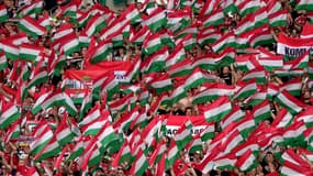 Des supporters hongrois face à l'Allemagne, le 19 avril 2024