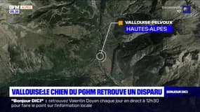 Vallouise: le chien du PGHM de Briançon retrouve un disparu