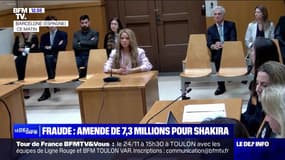 Fraude : amende de 7,3 millions pour Shakira - 20/11