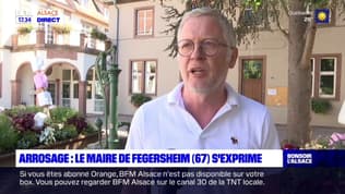 Fin de l'arrosage des massifs floraux: le maire de Fegersheim s'exprime