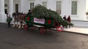 À 36 jours de Noël, le sapin a (déjà) été livré à la Maison Blanche 