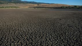 Un lac asséché à Washoe City, dans le Nevada aux Etats-Unis, le 15 juillet 2021.