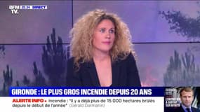 Gironde: 2 800 hectares partis en fumée (2) - 13/07
