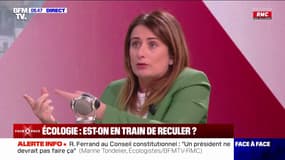 SUV: Marine Tondelier souhaite "interdire la pub pour les voitures les plus polluantes"