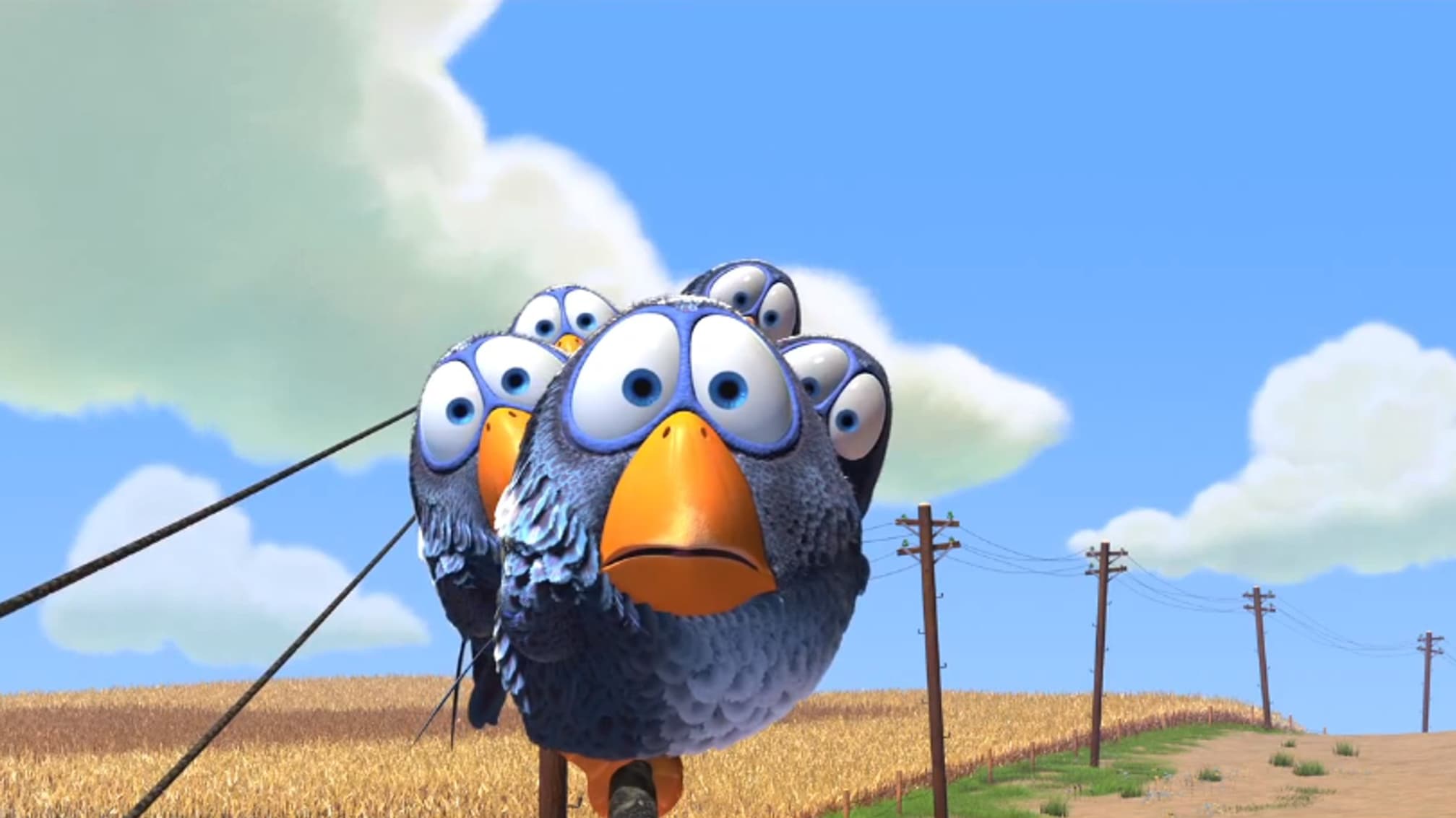 Drôles d'oiseaux sur une ligne à haute tension Drôles d'oiseaux sur une ligne à haute tension