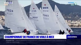 Nice: le championnat de France de voile s'installe dans la baie des Anges