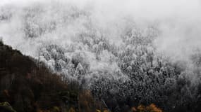 Des arbres enneigés dans la station de ski de Super Bagneres, près de Bagneres-de-Luchon, dans le sud de la France.