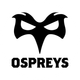 Ospreys