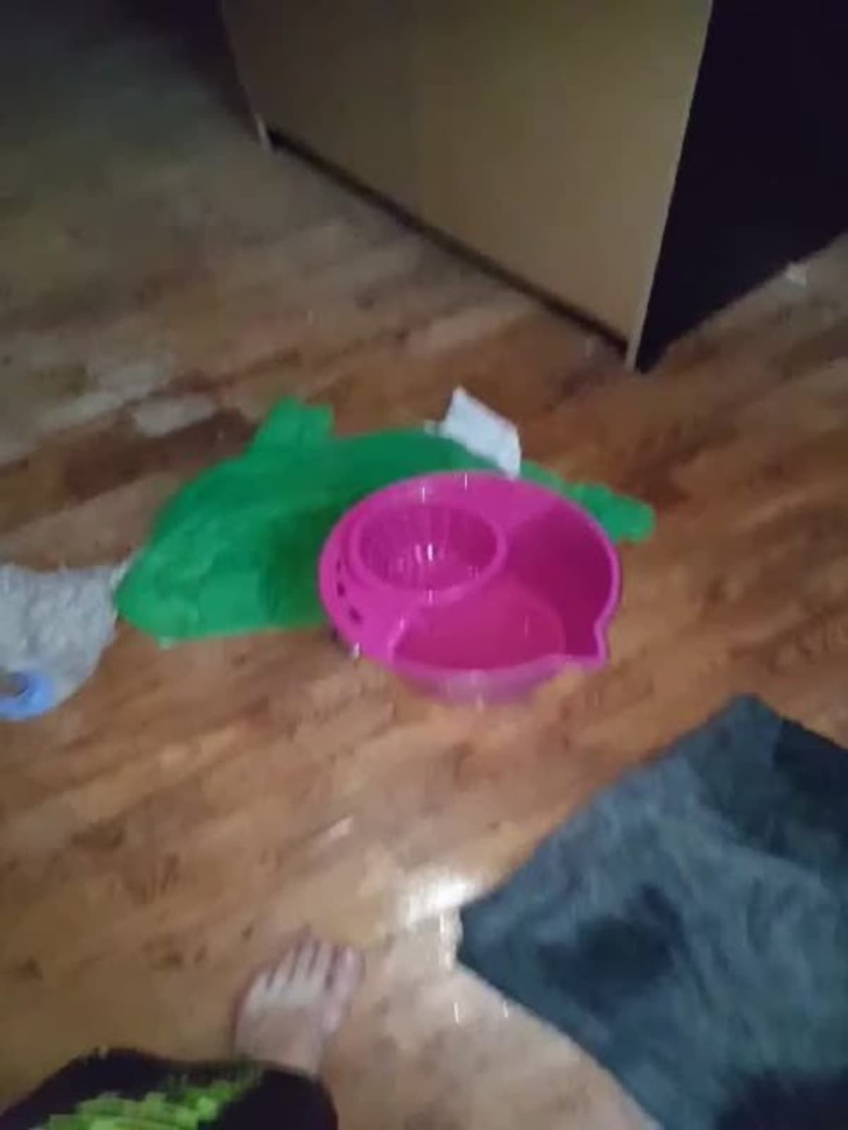 placeholder video