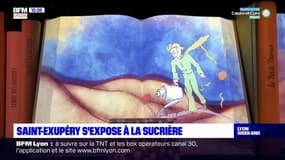 Saint-Exupéry s'expose à la Sucrière