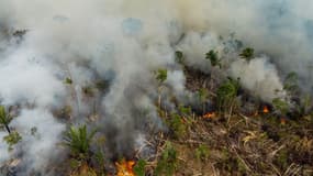Un feu de forêt au Brésil en septembre 2022