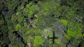 Vue aérienne de la forêt amazonienne le 13 octobre 2014 au Brésil. PHOTO D'ILLUSTRATION