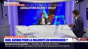 Législatives à Rouen: le député Damien Adam "consulte" avant de se représenter