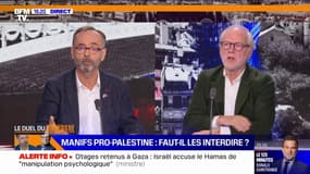 Manifestations de soutien aux Palestiniens: "Je suis toujours contre les interdictions", affirme Robert Ménard
