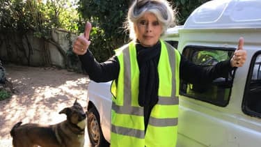 Brigitte Bardot en gilet jaune