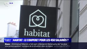 "Ils ont laissé la situation pourrir": les 450 salariés de l'enseigne Habitat, en liquidation judiciaire, sont inquiets de leur avenir