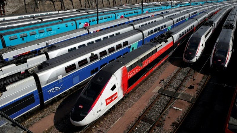 TGV: la SNCF met-elle des bâtons dans les roues de ses futurs concurrents?