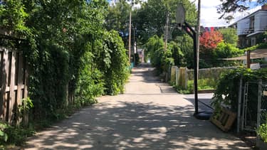 Vue d'une rue de Montréal.