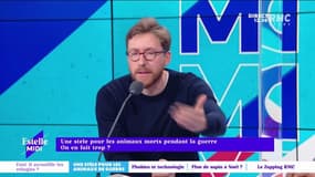 Laurent Dandrieu : "Si ces animaux sont capables d'héroïsme, ça n'a rien d'aberrant de les honorer" 